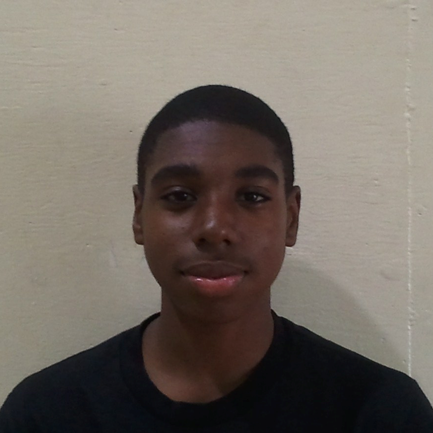 Resean Perry mugshot