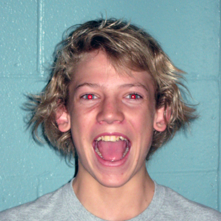 Luke Shankin mugshot