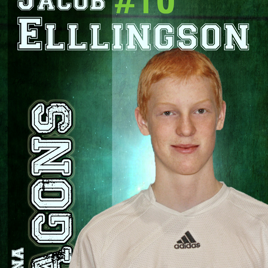 Jacob Ellingson mugshot