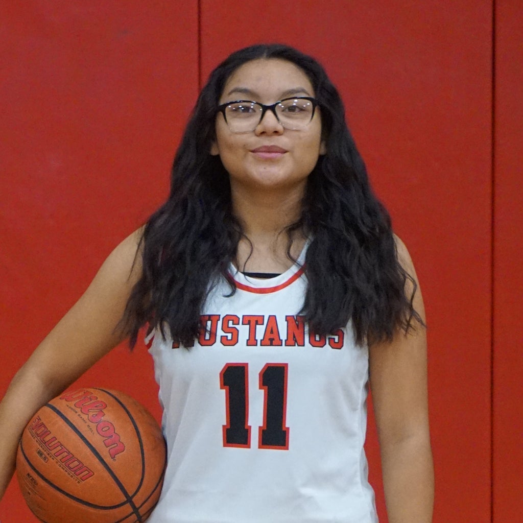 Deseray  Rojas mugshot