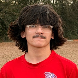 Wesley Rogel mugshot