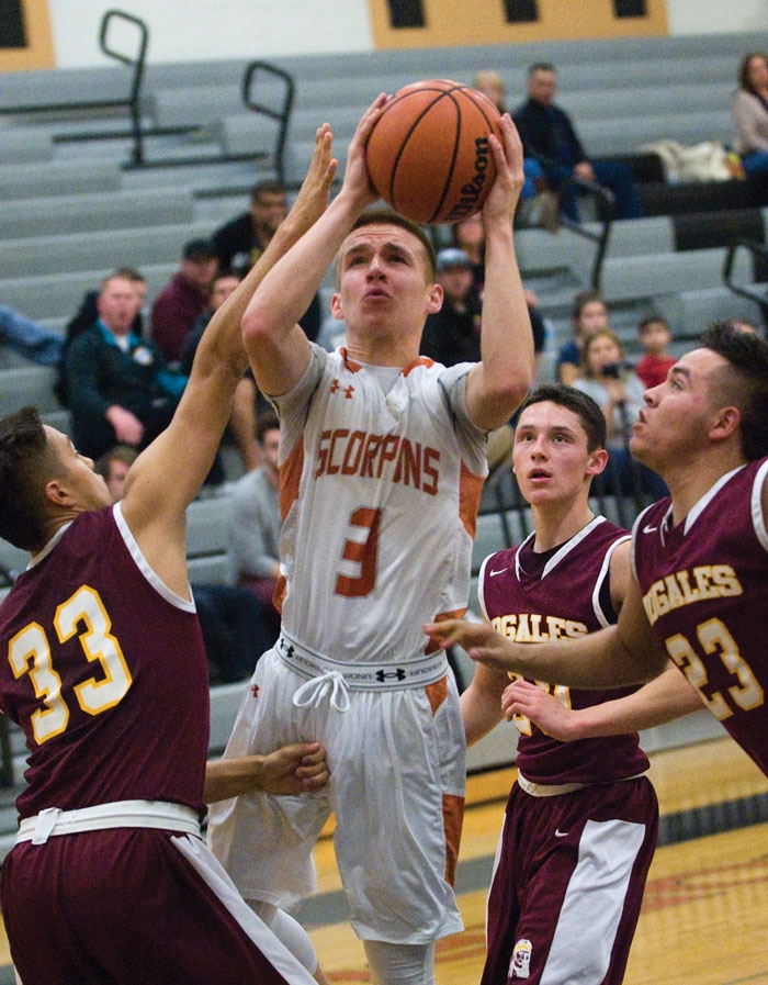 Kyle Werner