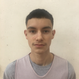 PETER MARTINEZ mugshot