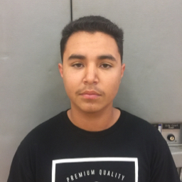 Danny Castillo mugshot