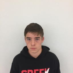 Ryan Gillespie mugshot