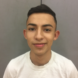 Alberto Flores mugshot