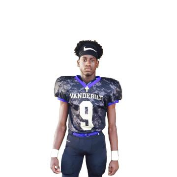 JaCorey Wells mugshot