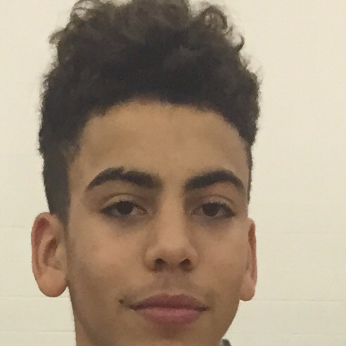 Zae'len Mitchell mugshot
