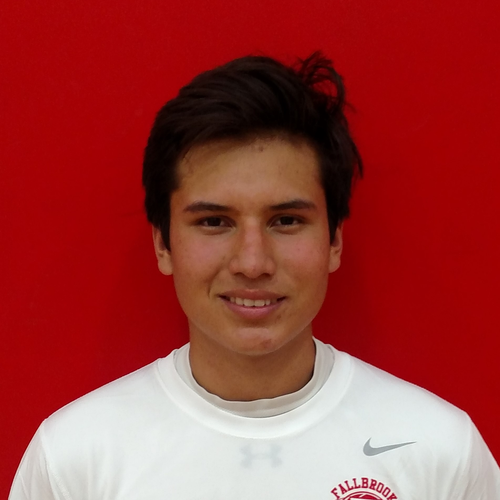 Joseph Portillo mugshot