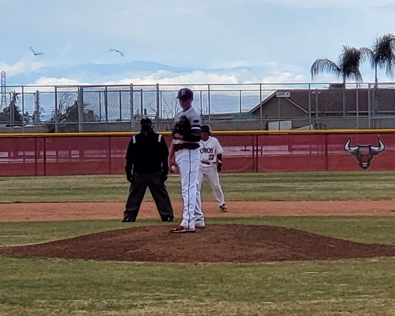 Tristan Davis