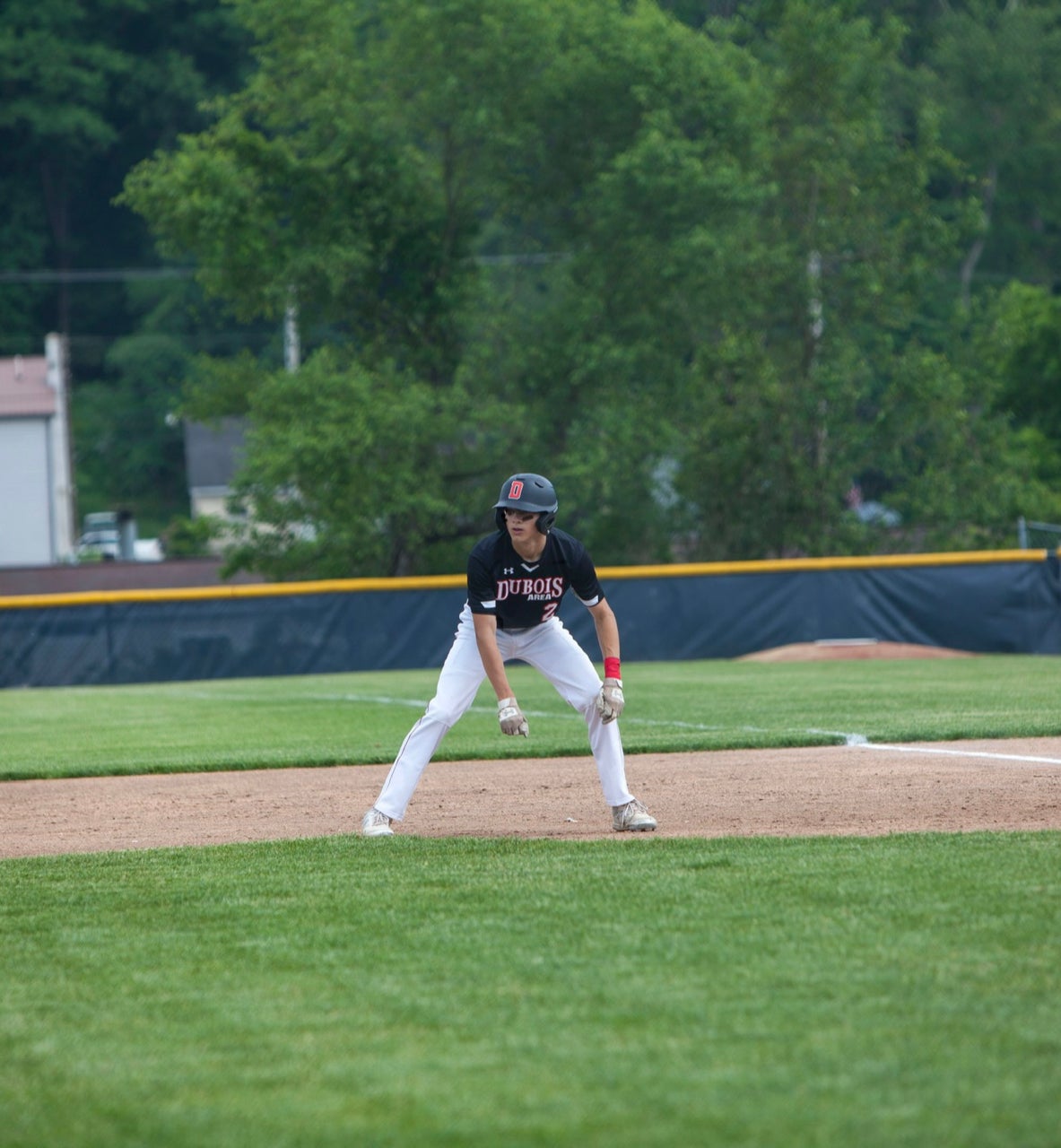 Aaron  Andrulonis