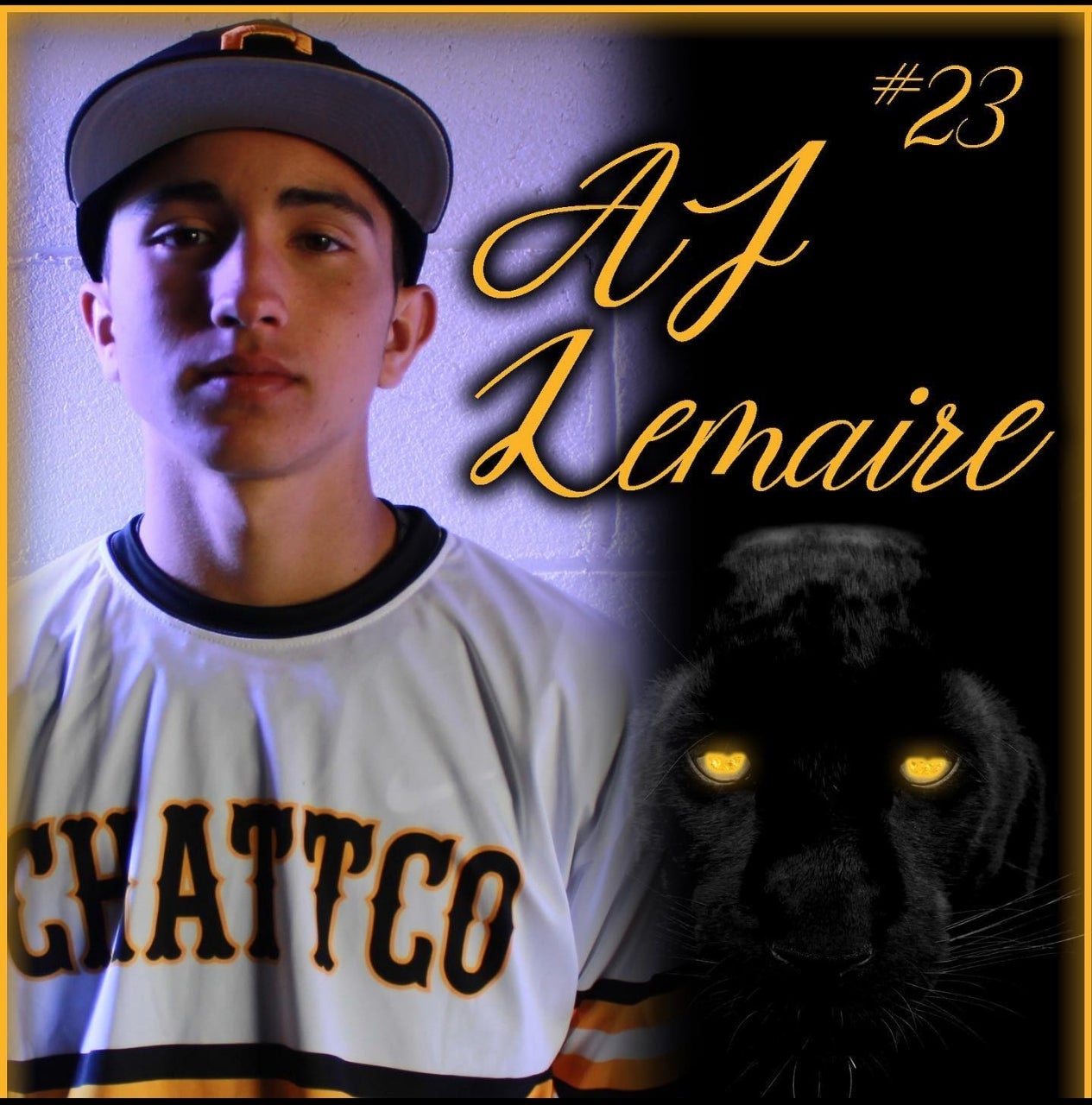 AJ LeMaire mugshot