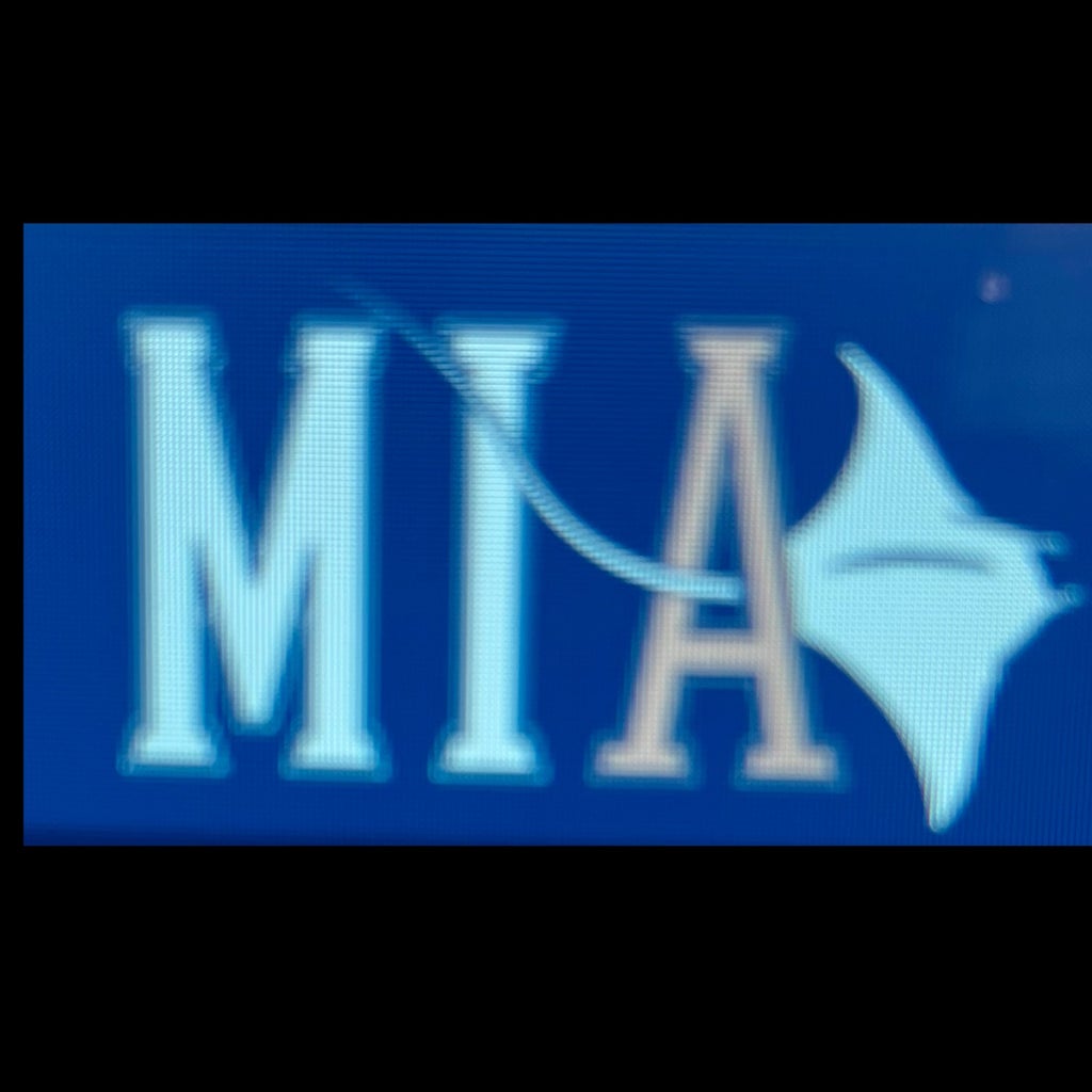 Manta Rays 