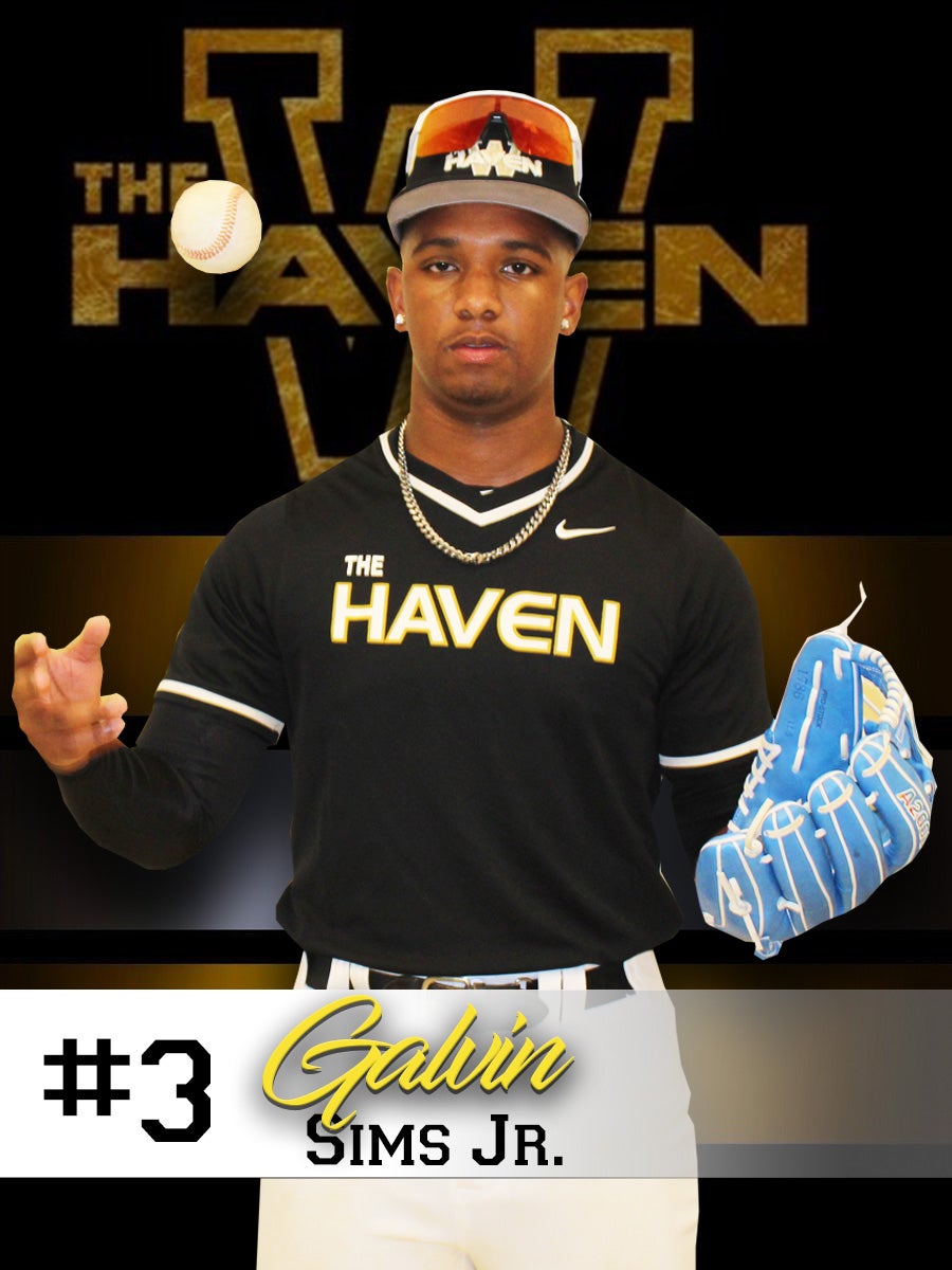 Galvin Sims mugshot