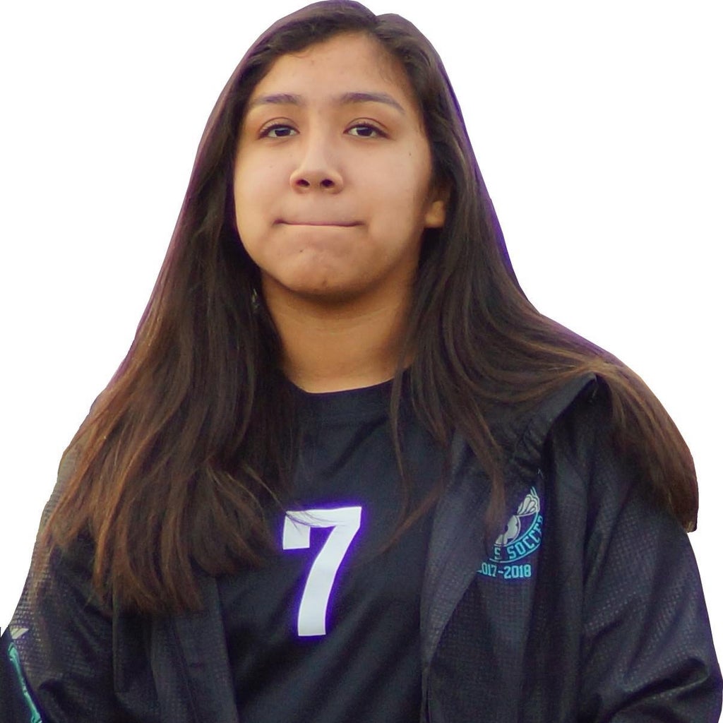 Sarah Figueroa mugshot