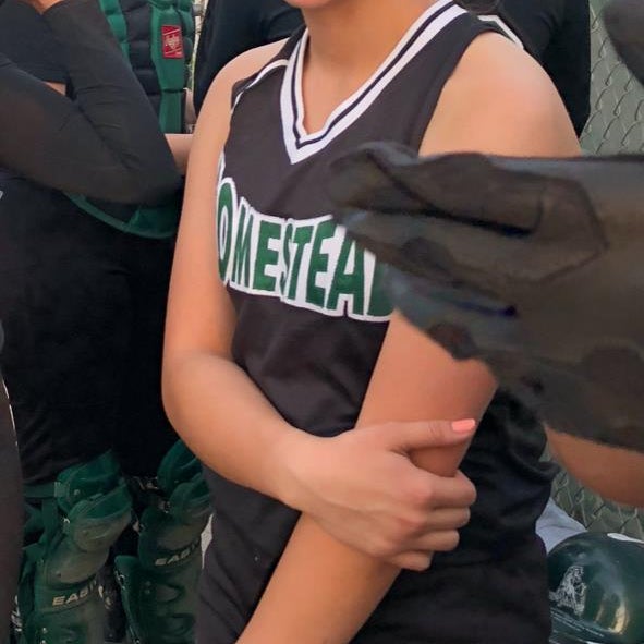 Jocelyn Gonzales Lim mugshot