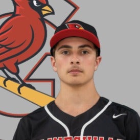 Logan Fitzgerald mugshot