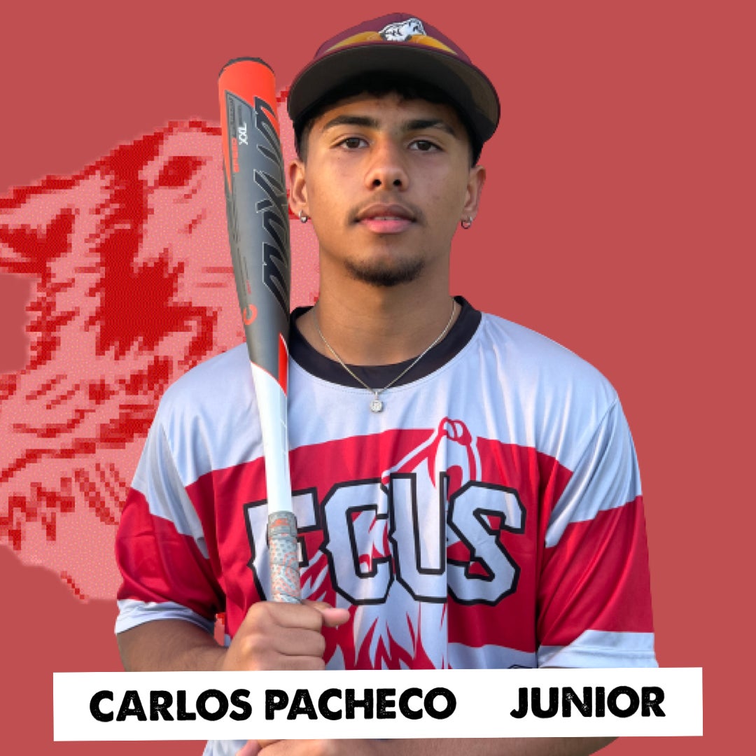 Carlos Pacheco