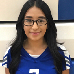 Rosemarie Santillana mugshot
