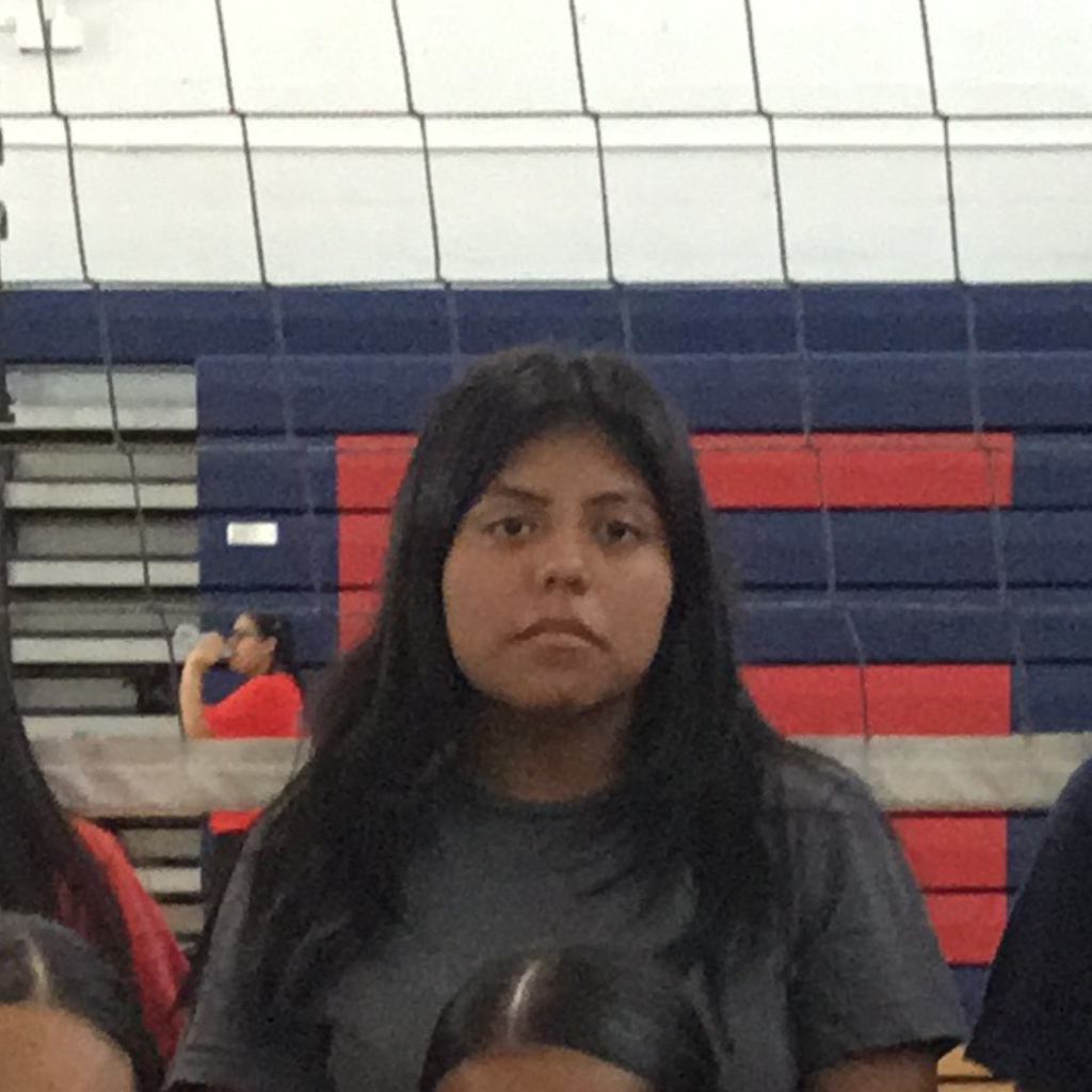 Griselda Diaz mugshot