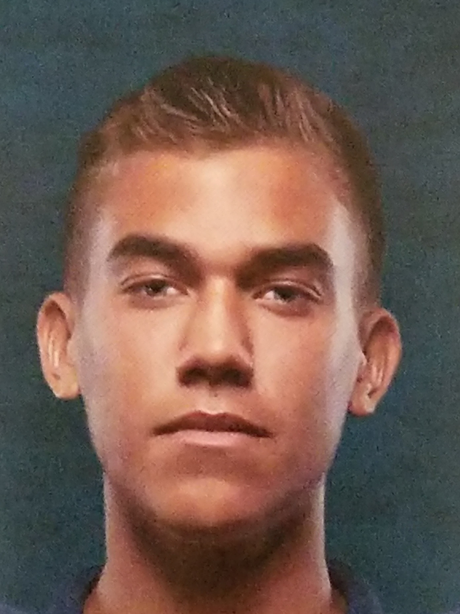 Nathan Palmer mugshot