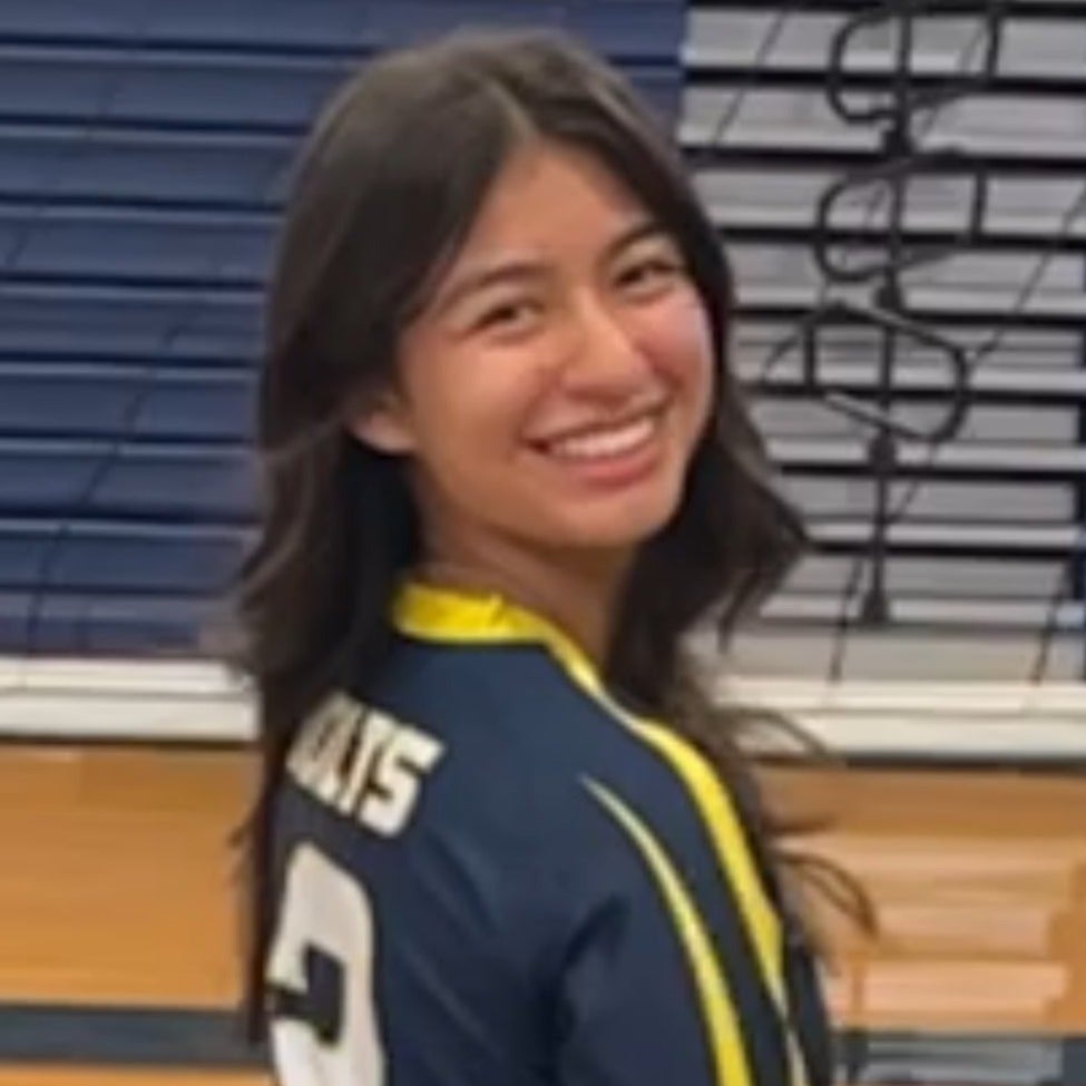 ELSIE ENRIQUE mugshot