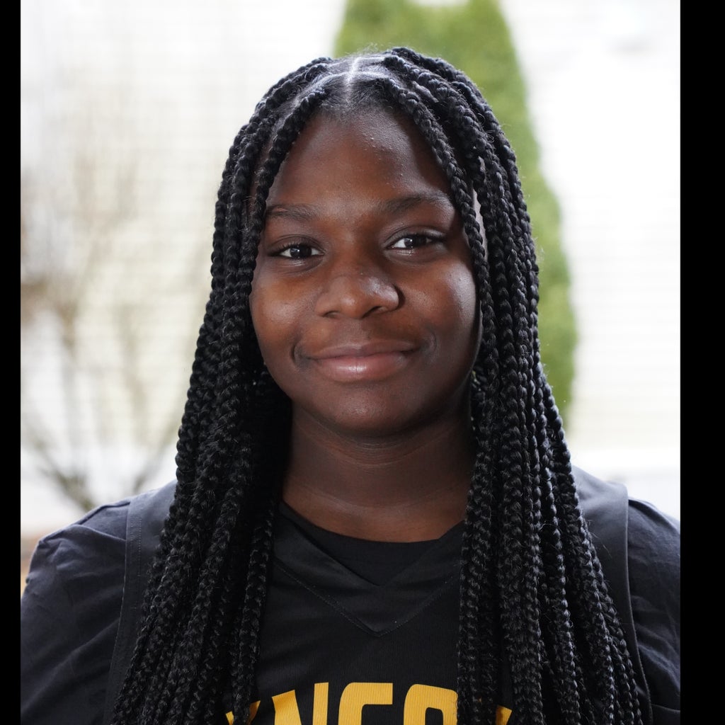 Aroyale Fields mugshot