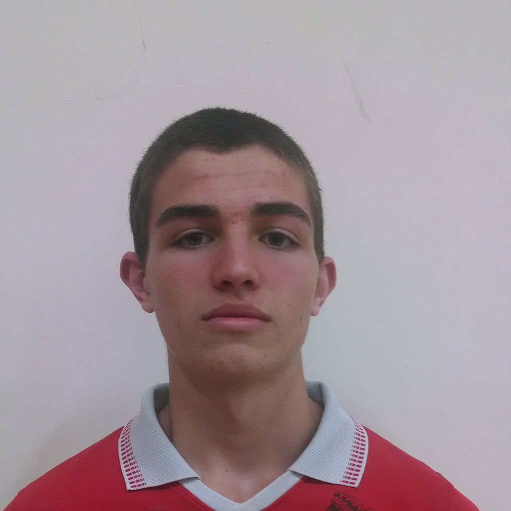 Matthew Araiza