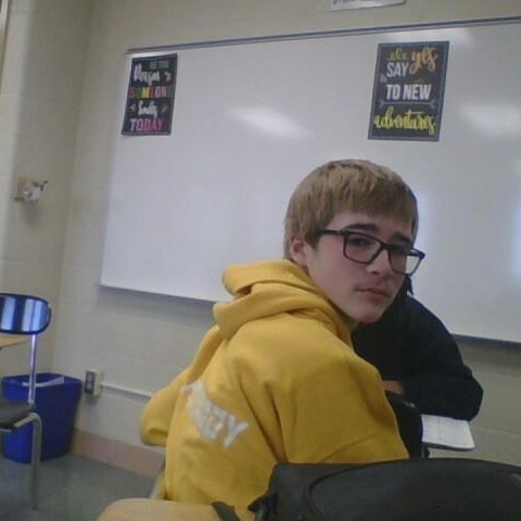 Alex Hoffman mugshot