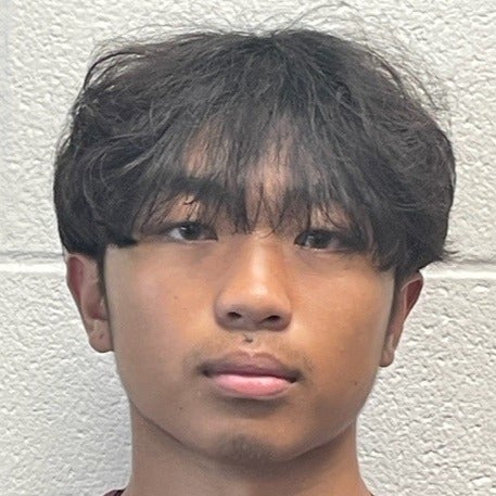 Jordan Vo mugshot
