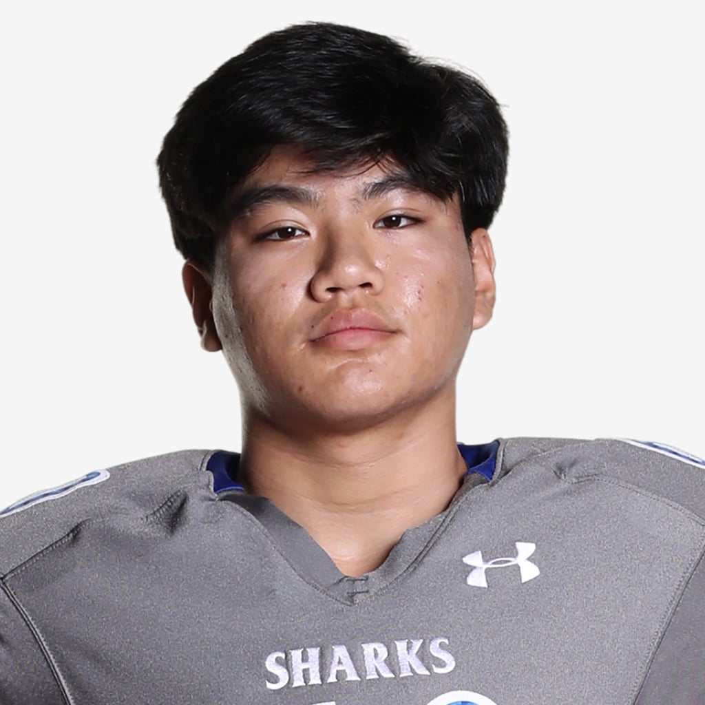 Nathan Vu mugshot