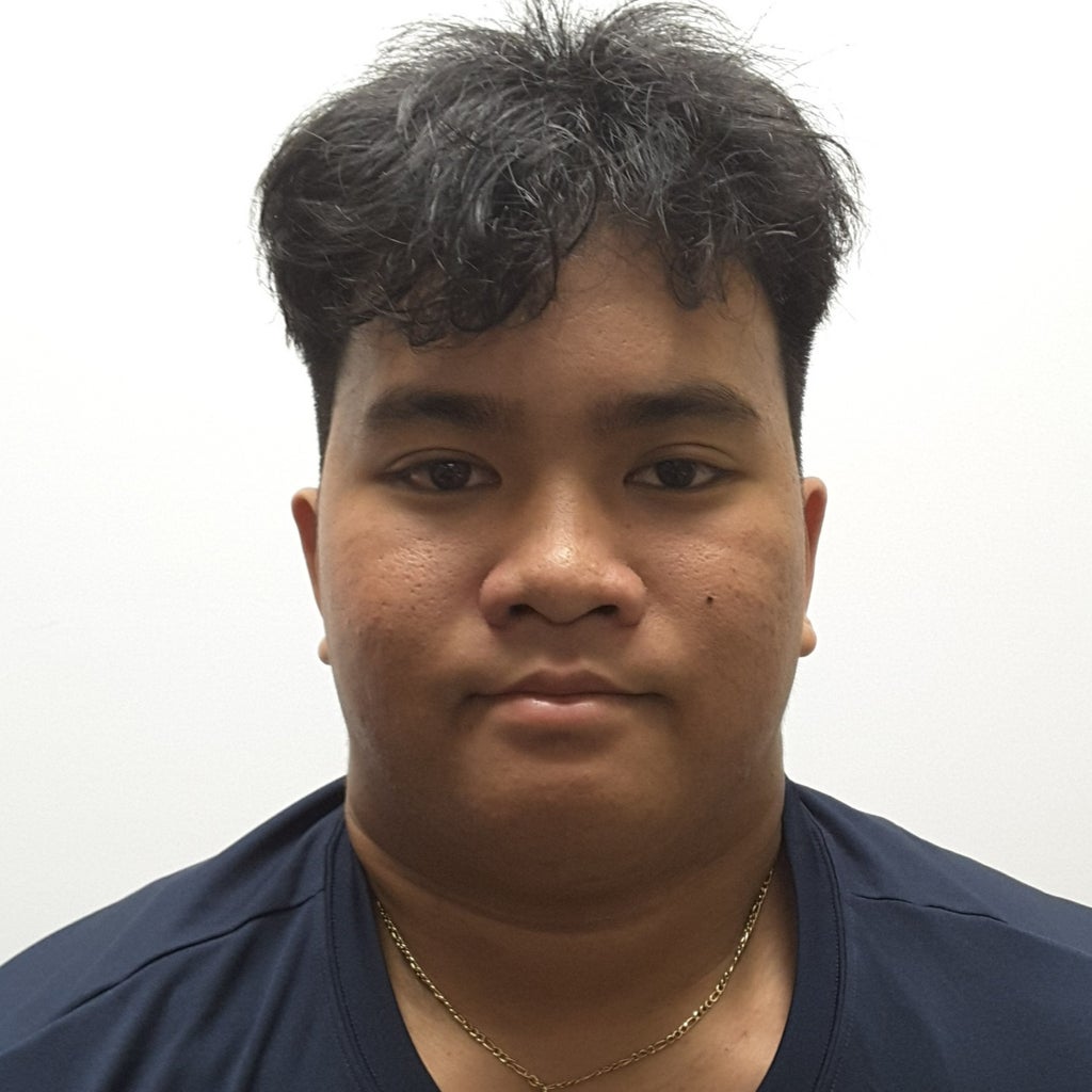Josh Carbungco mugshot