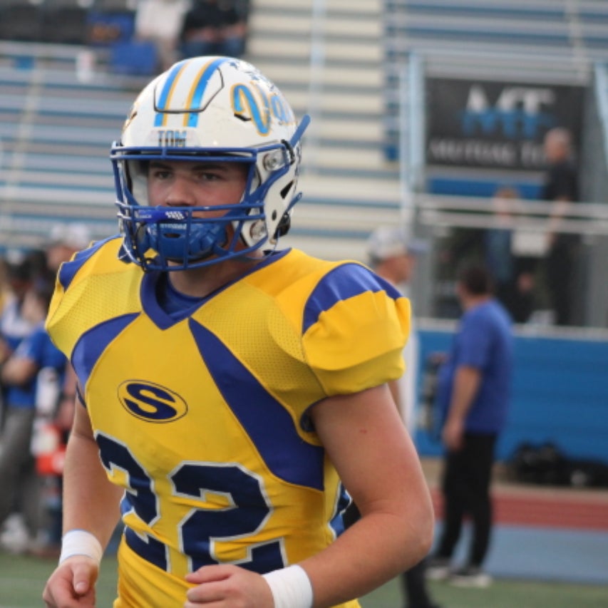 Austin Helton mugshot