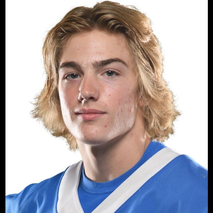 Michael Hackman High School Football Stats Bismarck-Henning/Rossville