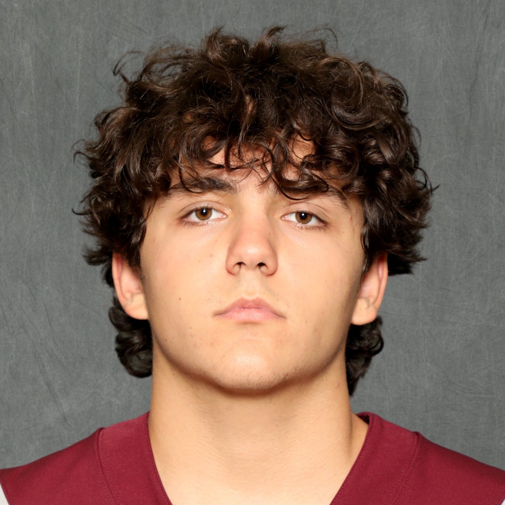 Lucas De Almeida mugshot