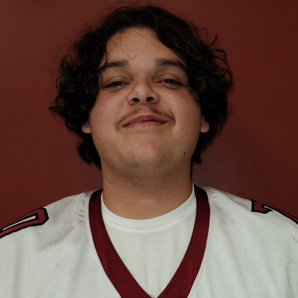Michael Llamas mugshot