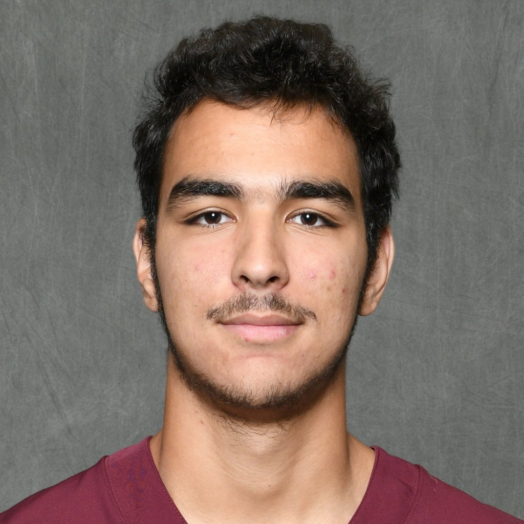 Bartu Taygan mugshot