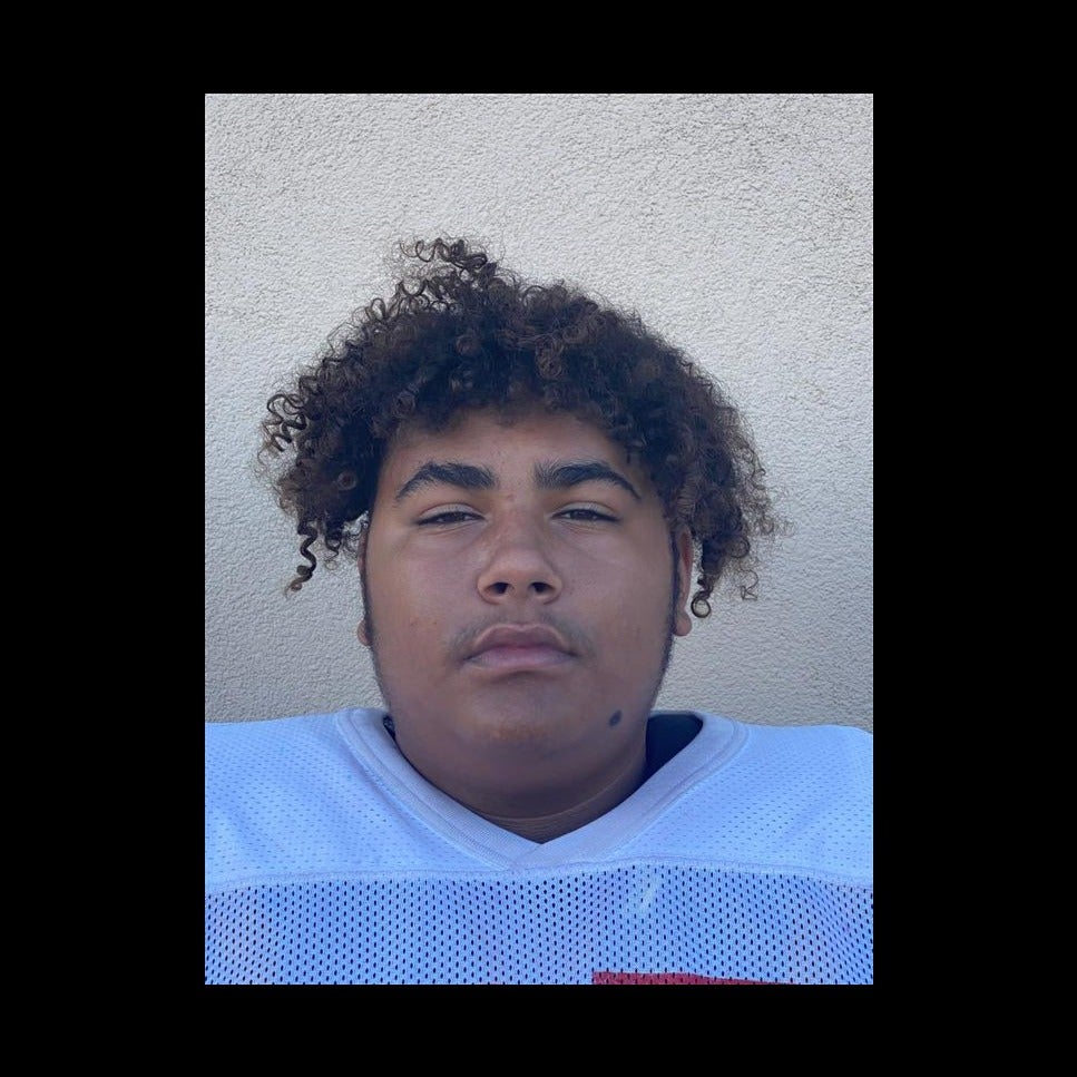 Desean Windred mugshot