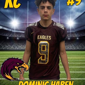 Dominic Haben mugshot