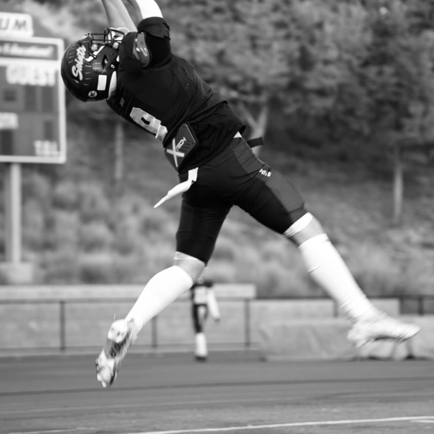 9 MLB / TE / RB 6' 1" 215