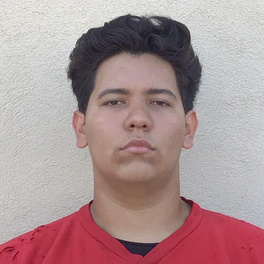 Brandon Lydick mugshot
