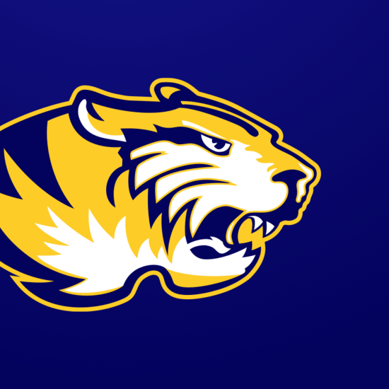 Hayden Johnston mugshot