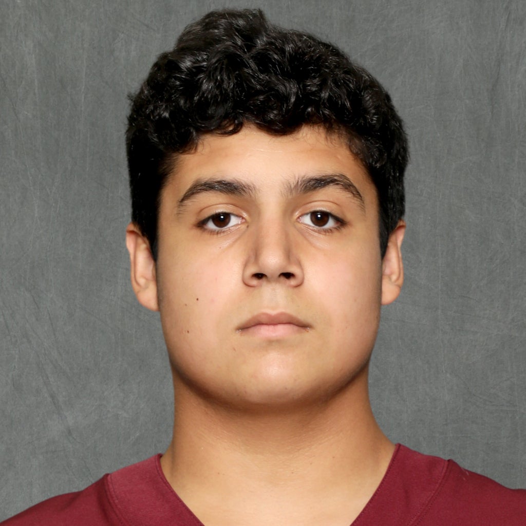 Gabriel Parra mugshot