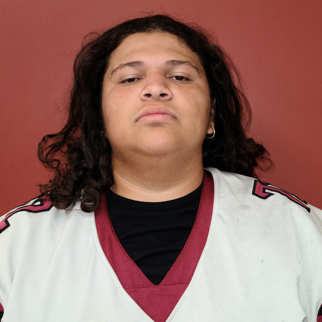 Santana Mendoza mugshot