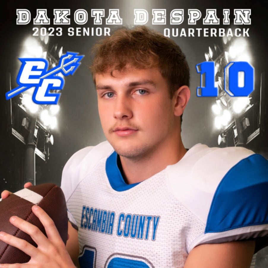 Dakota Despain mugshot