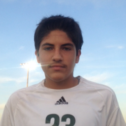 Luis Ochoa mugshot