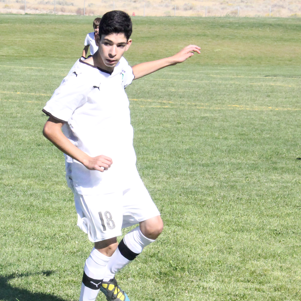 Alex Herrera