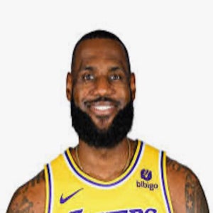 LeBron James mugshot