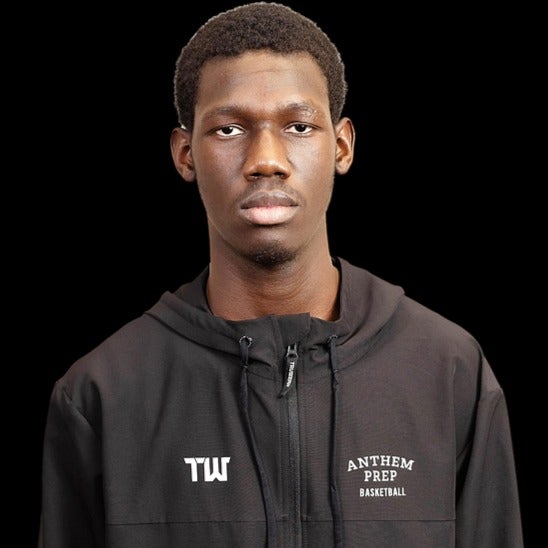 Cheick Diaby mugshot