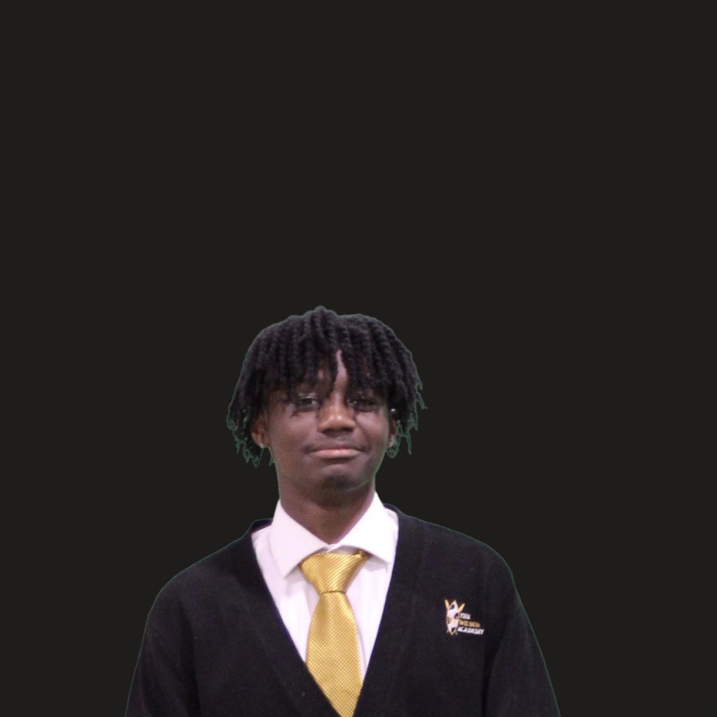 Terryon Stebbins mugshot